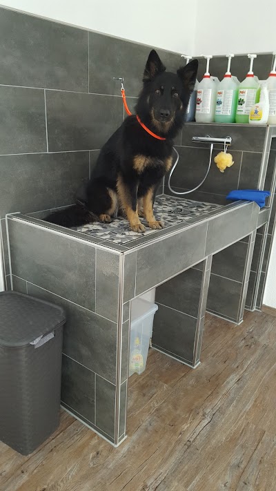 Self Serve Dog Petco Unleashed Grooming Blue Door Mat Outdoor Paw